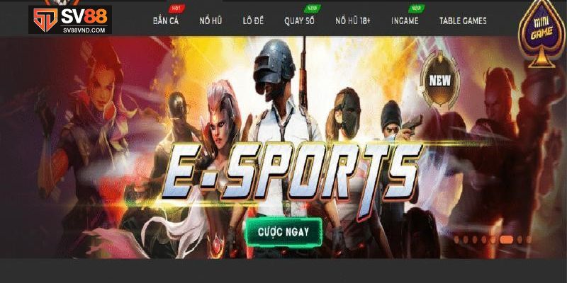 cá cược Esports SV88